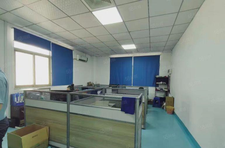 实际面积出租（公明蒋石钢构1000平高7度米，可分400平）