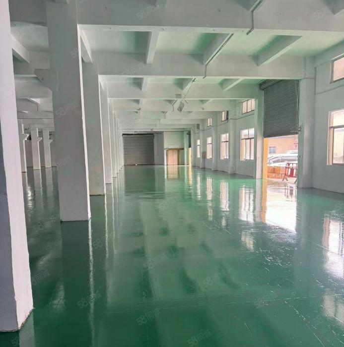 光明楼村公常路主干道边厂房一楼2300平带牛角全新地坪可分租