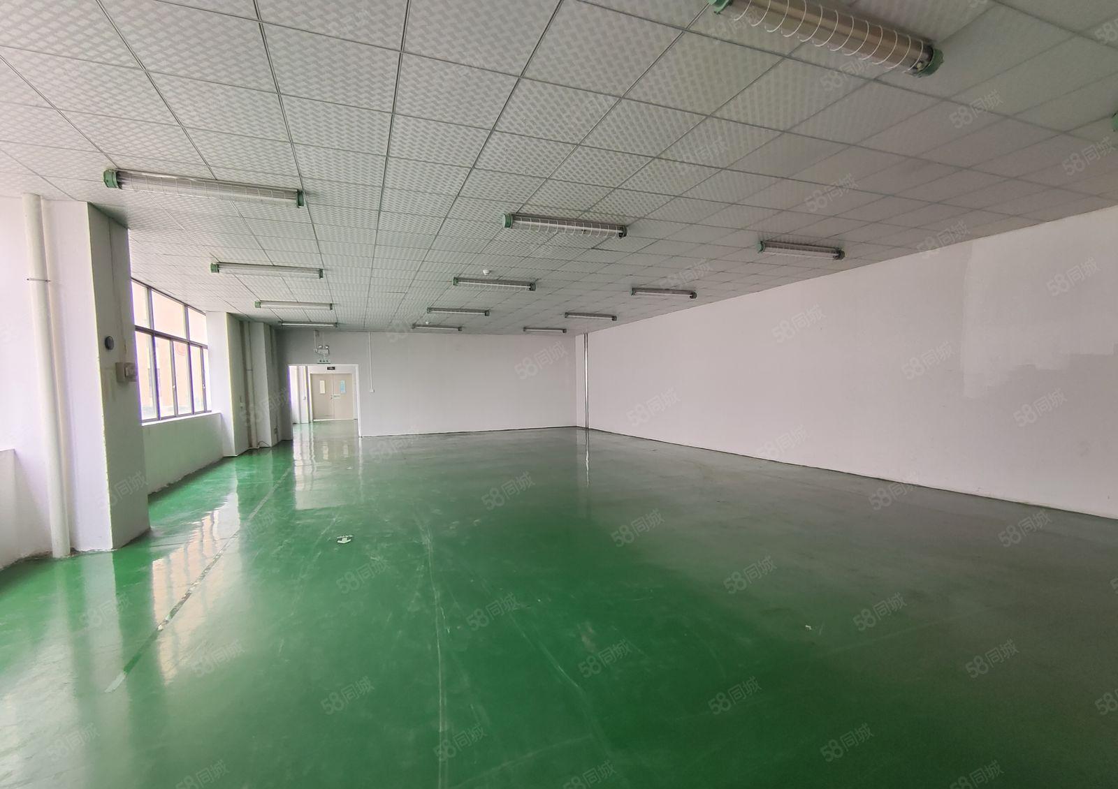 光明公明田寮厂房出租大小可分租大型工业园带红本园区形象高大上