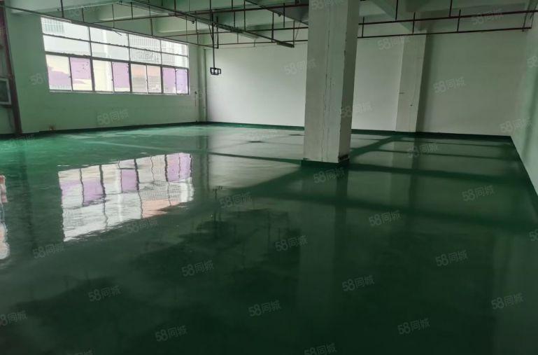 光明楼村地铁口花园式厂房出租1500平 水电到位