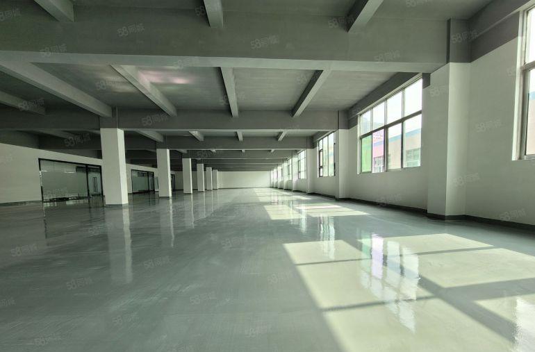 光明独门独院5000平厂房出租一楼精装电商仓库出租转租