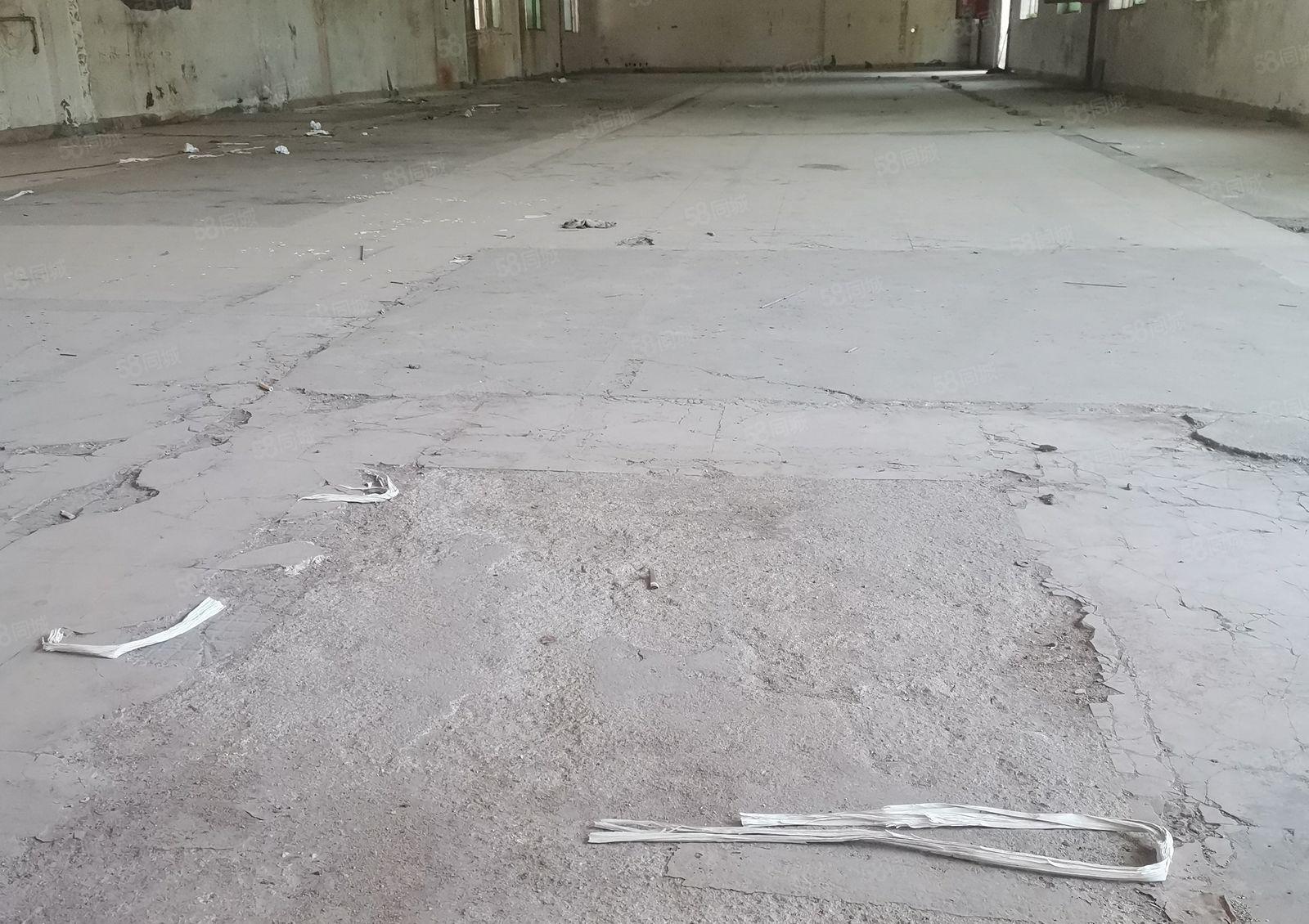 9元厂房  9元厂房出租7000平，大小分租有2吨货梯