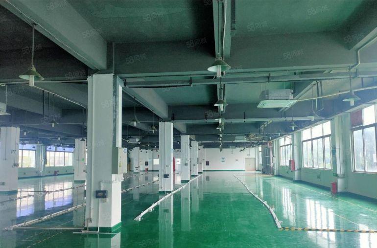 坪山坪大工业区原房东2000平厂房可分租 带装修低价仓库出租