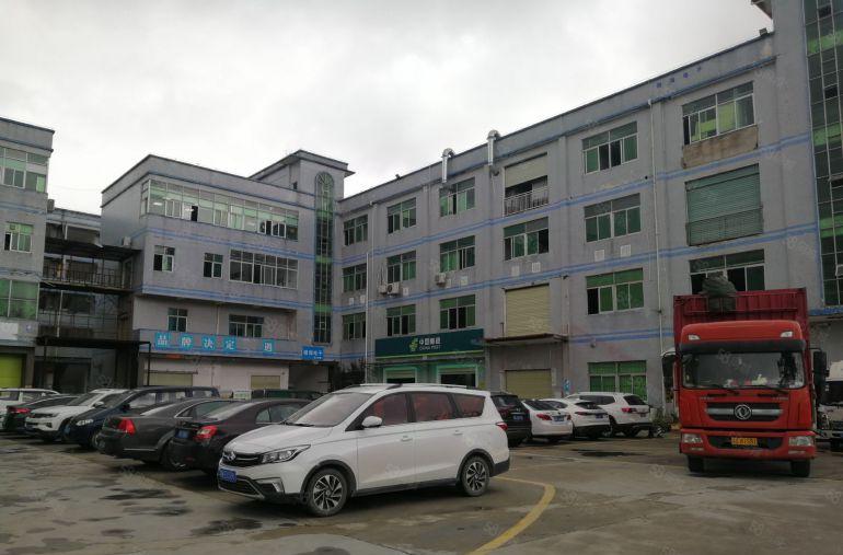 坪山坑梓原房东一楼500平厂房仓库低价出租，马路边上