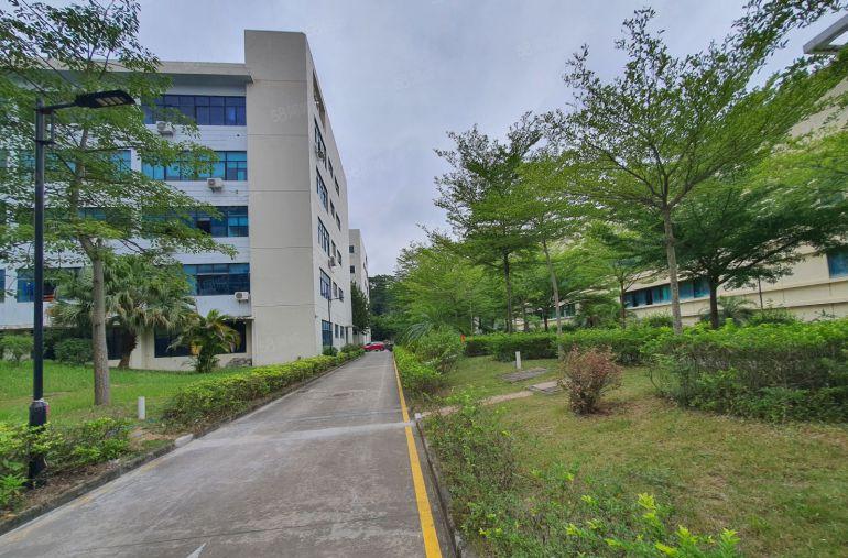 原房东带红本无公摊坪山高新产业园新出1000平仓库厂房出租