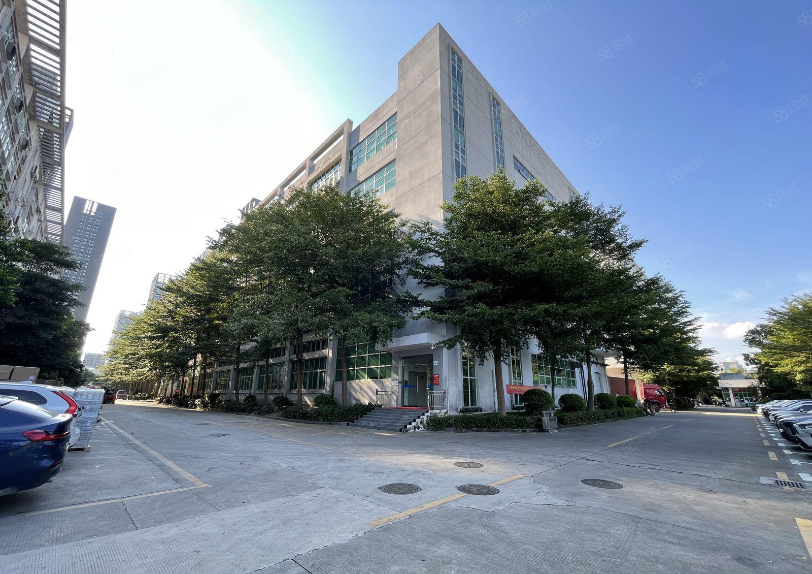 全新装修！大工业区原房东园区新空出3楼整层1500平厂房出租