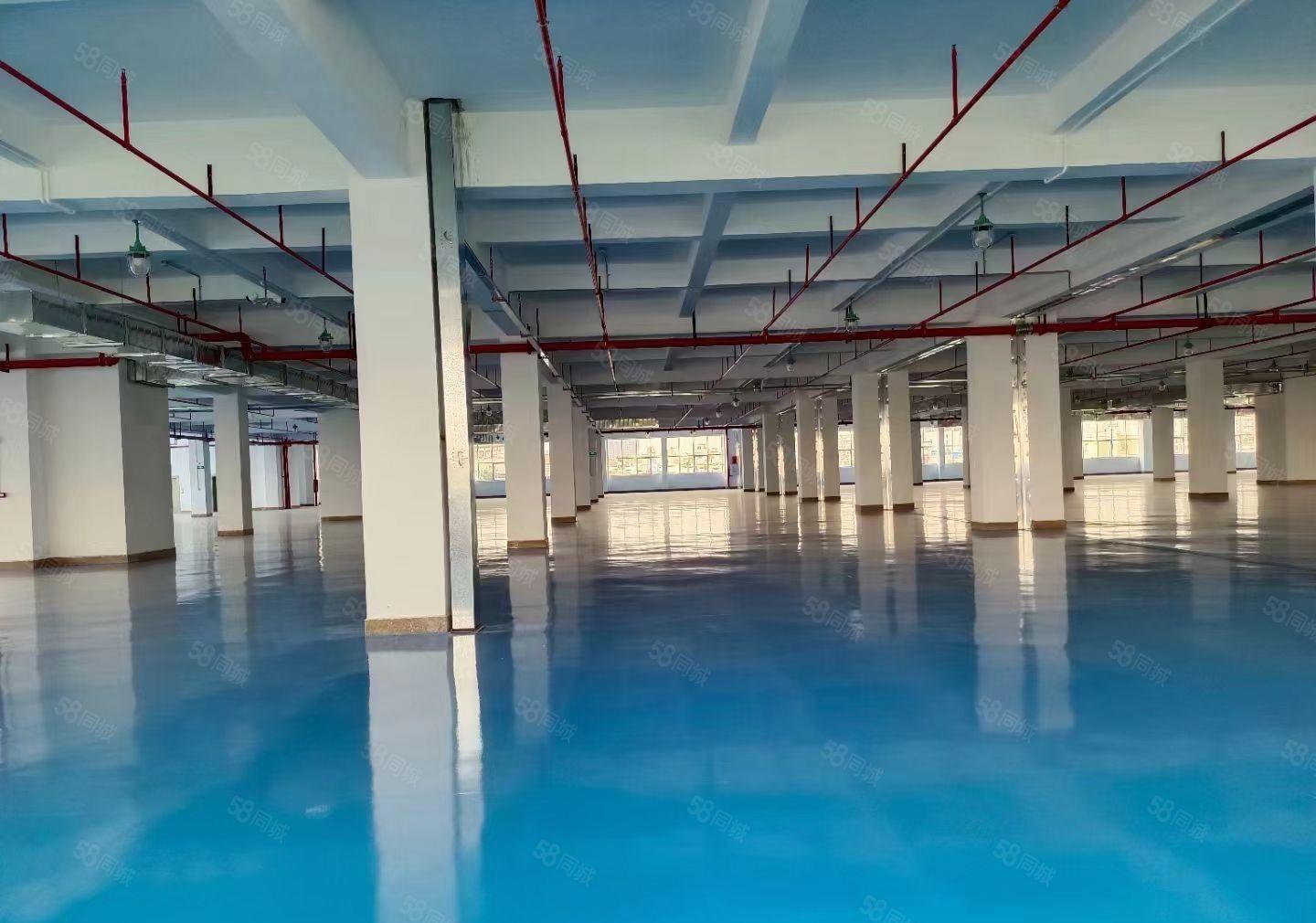 坪山原房东大型工业园单层2000平仓库厂房出租实际面积空地大