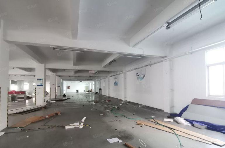 出租坪山工业区1000平标准厂房出租仓库招租300平起分租