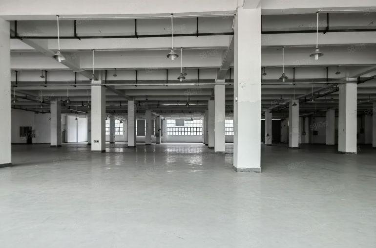 坪山原房东低价高新补贴一楼厂房出租2000平，仓库出租可分租