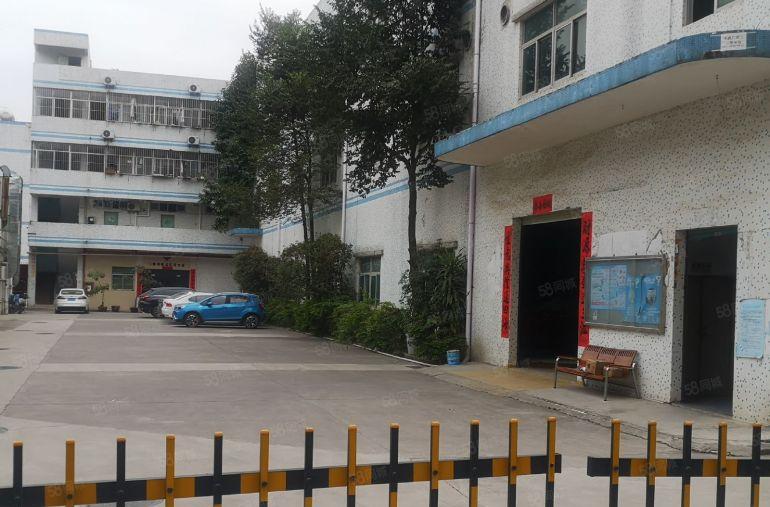 报价12元！坪山碧岭金碧路边原房东独院厂房5000平方出租租