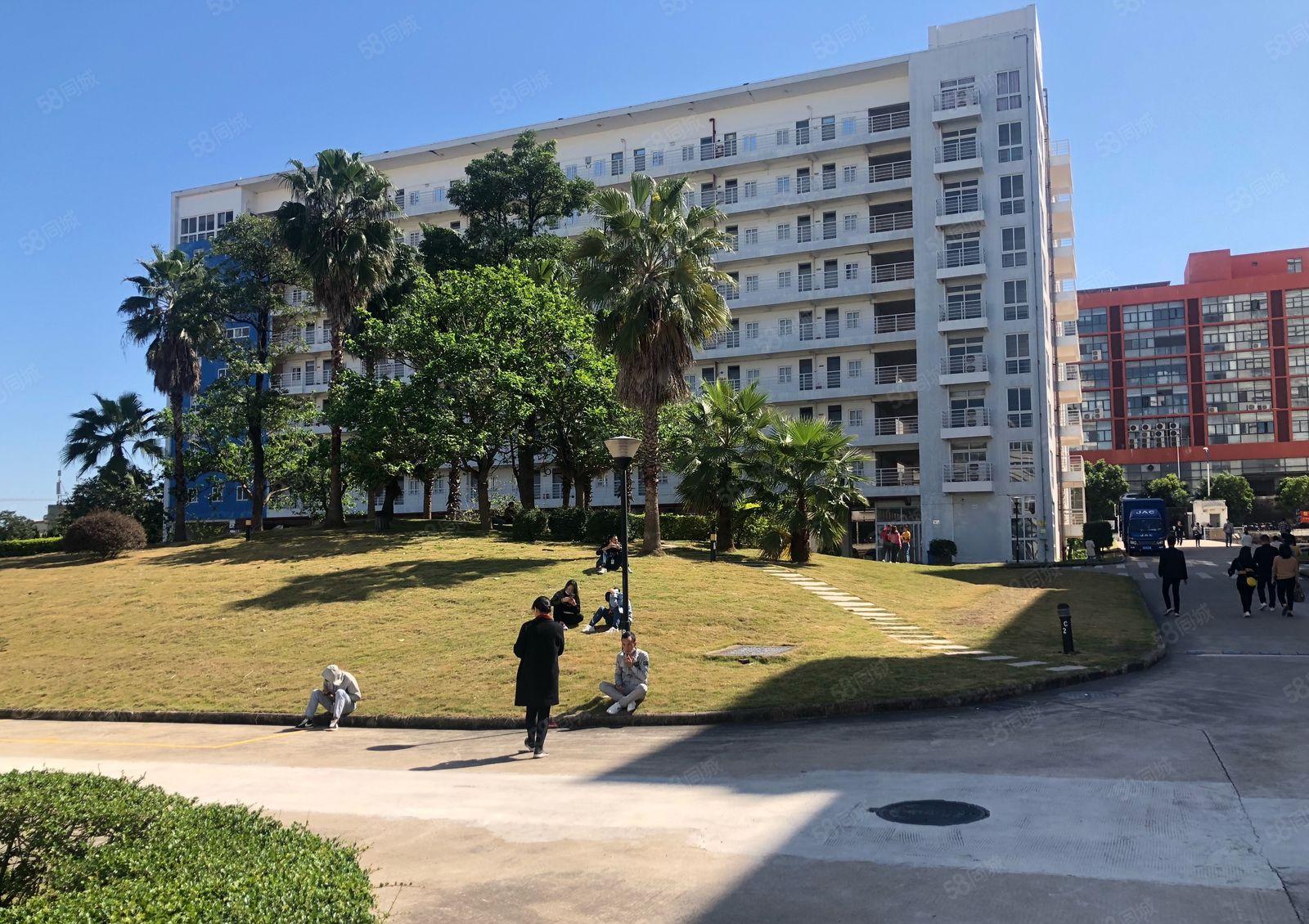 200平起分租坪山聚龙山产业园原房东8000平红本厂房出租