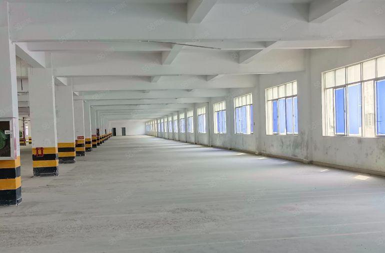 抢！深圳价格低洼原业主红本工业园区标准厂房出租独栋1千平起租
