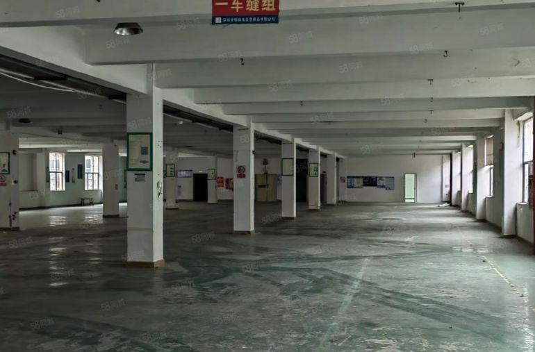 坑梓工业园区2000平招租环境优美价格公道交通便利