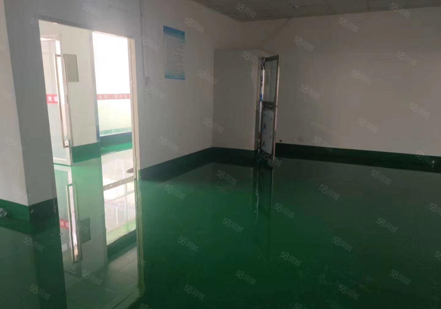 坪山沙湖二楼380平方出租，现成办公室装修