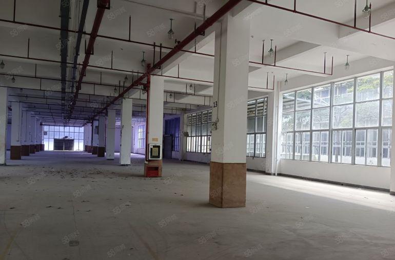 深圳坪山新出漂亮园区厂房1楼层高6米园区空地大沿主干道好招工