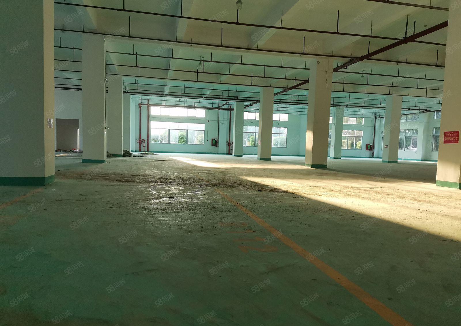 深圳坪山原房东1楼1700平方米，红本厂房出租，高度6.5米