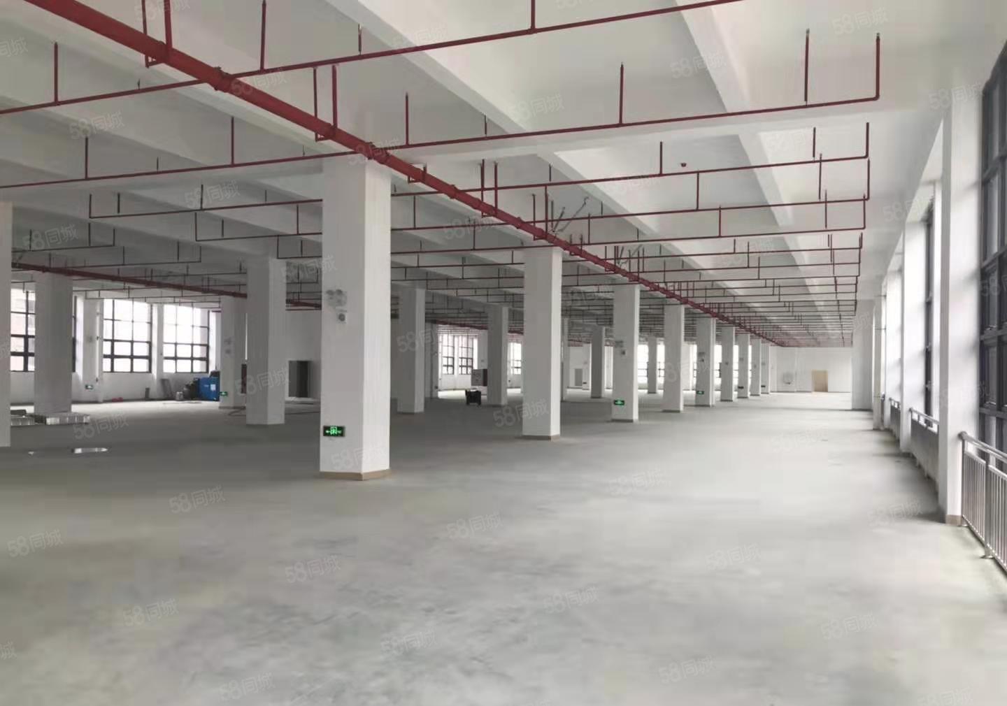 坪山新区原房东红本独院花园式厂房12000招租可办环评