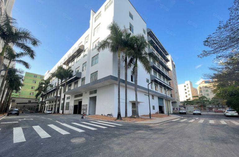 坪山坑梓独门独院单层面积3000平红本厂房实际面积出租可分租