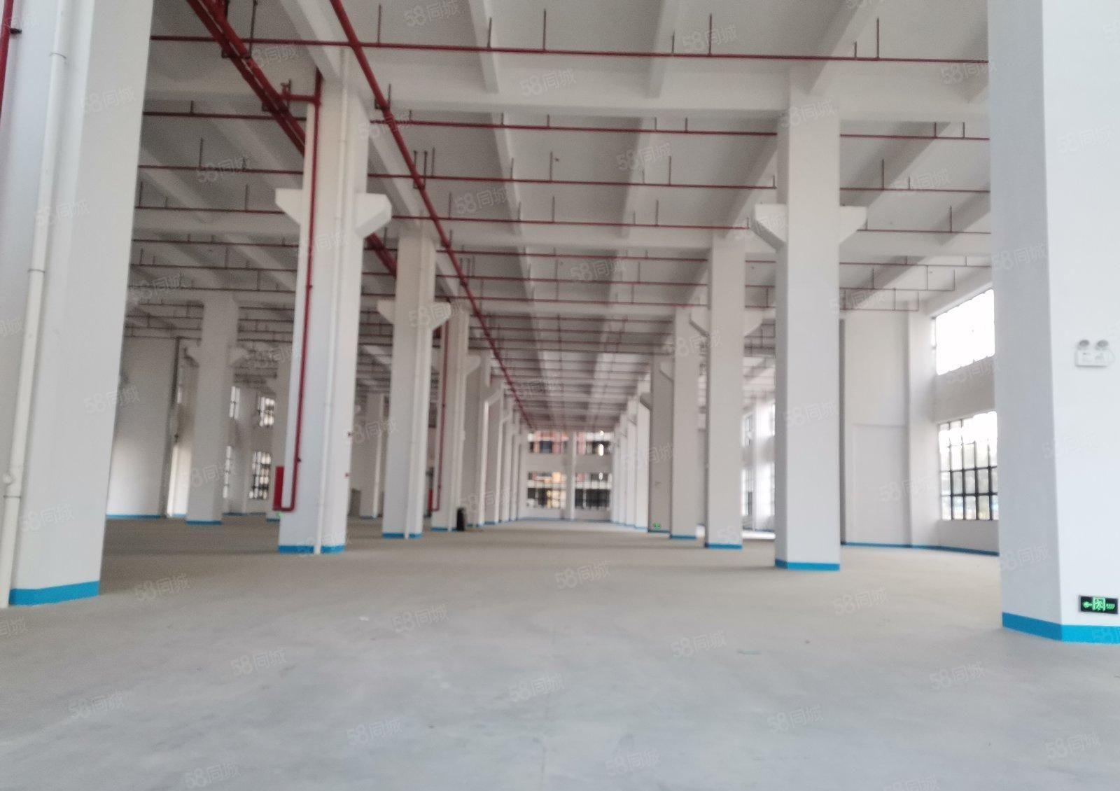 红本厂房深圳市坪山区一楼11米高4500平方米形象好配套齐全