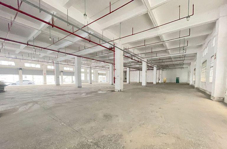 坪山坑梓独门独院单层面积3000平红本厂房实际面积出租可分租