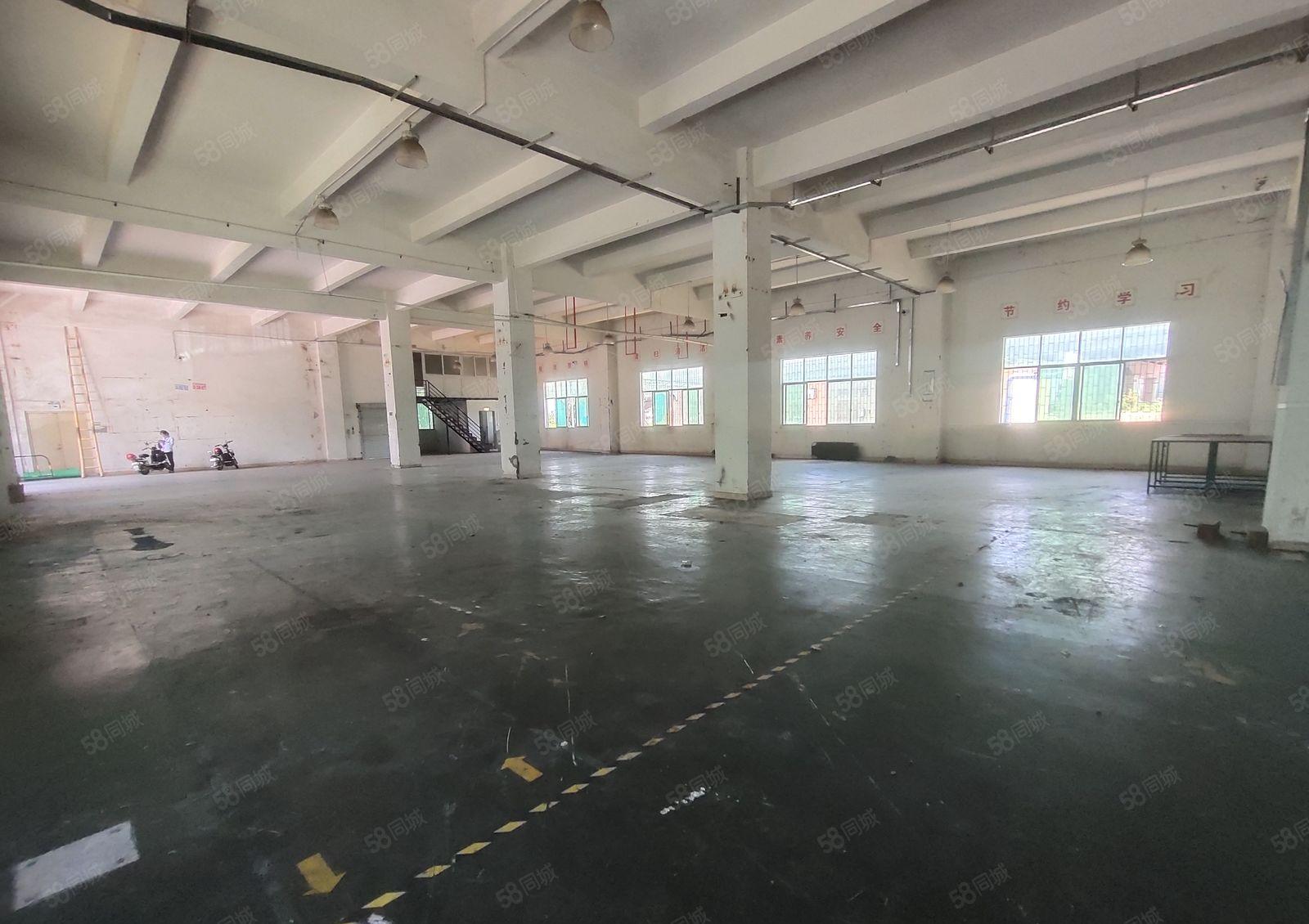 坑梓6米高厂房，500平起租