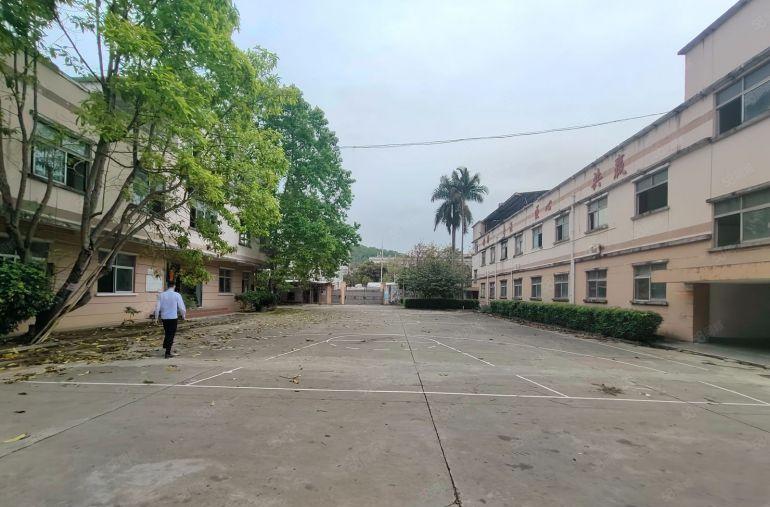 坪山村委独院3200平方价格16红本证件齐全300平起租