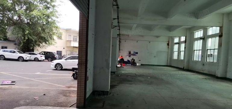 深圳市坪山区石井工业区1楼520平米，标准厂房出租，层高6米