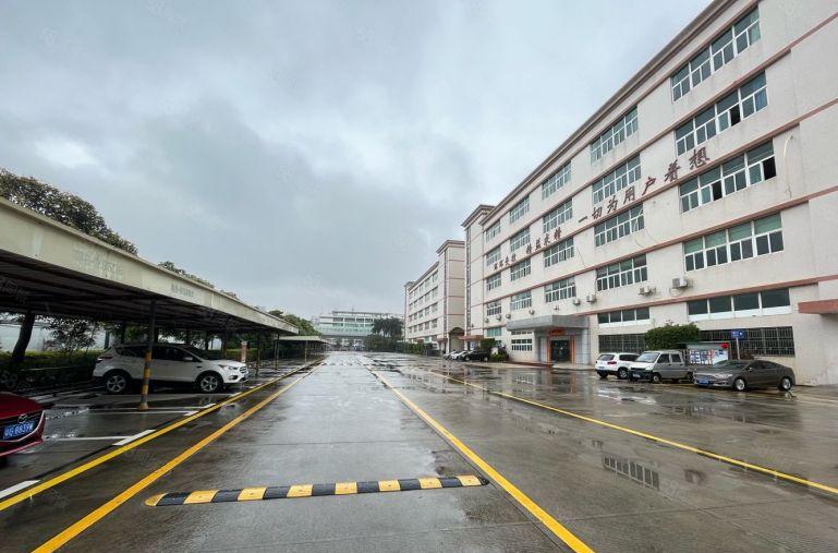 坪山坑梓红本5000平工业厂房出租 可分租 工业园仓库出租