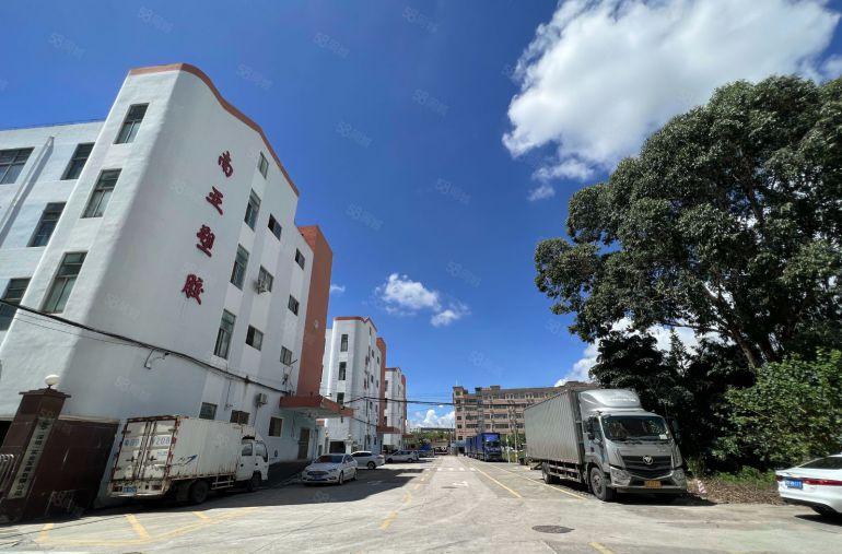 空地超大村委厂房直租坪山科技园一楼600平带装修仓库厂房出租