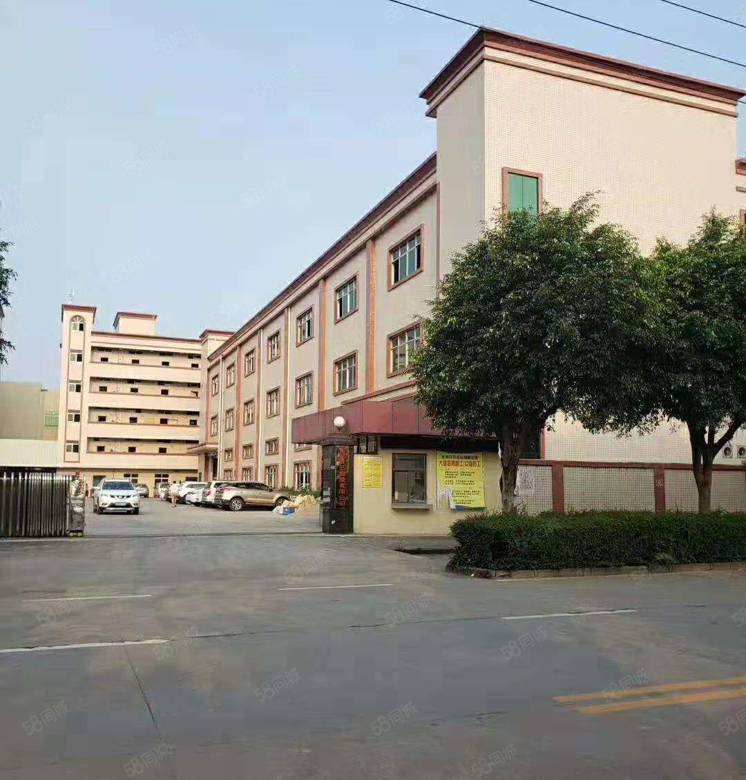 坑梓秀新工业区分租一楼厂房460平米，有现成的两间办公室