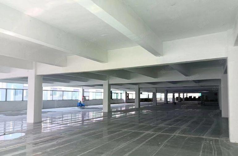 坪山高新产业园原房东带红本无公摊新出1000平仓库厂房出租