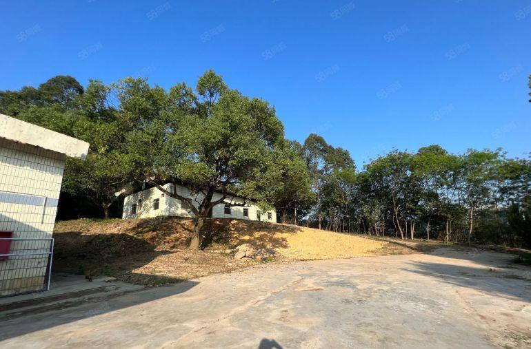 深圳坪山工业园标准厂房2000平出租大小可分租适合汽车4S店