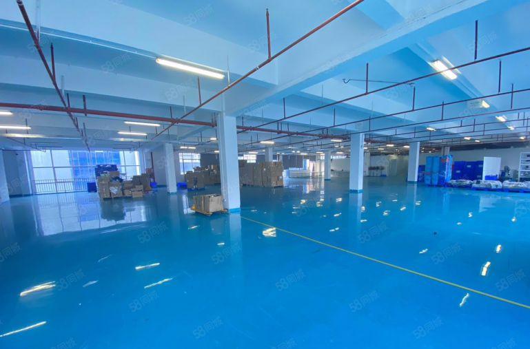 坪山高新工业园区带装修厂房独门独院仓库出租办公研发生产有补贴