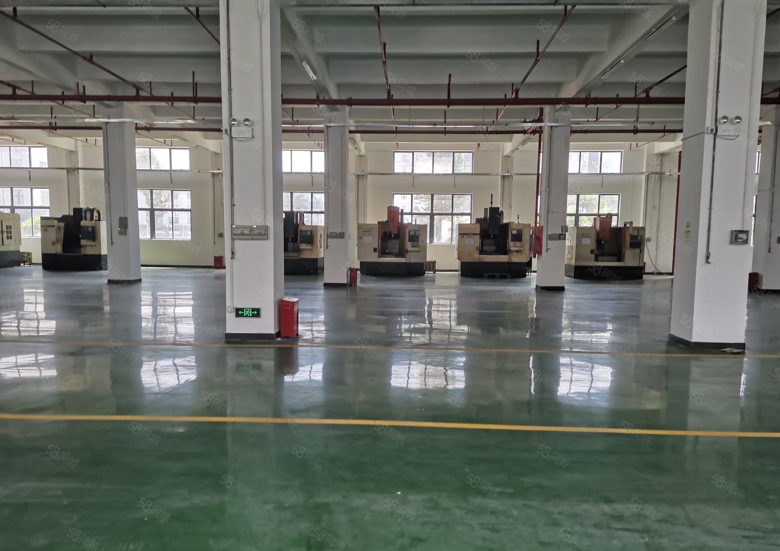 坪山坑梓大工业区原房东红本一楼1500平方层高6米大小可分租