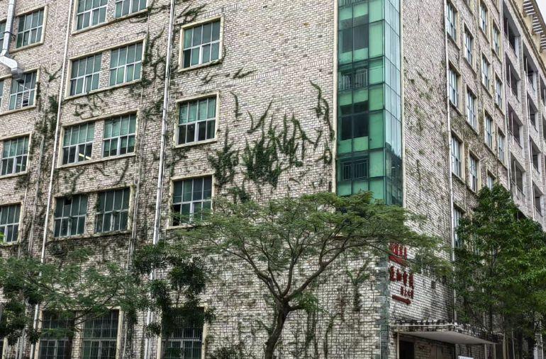 坑梓工业园区2000平招租环境优美价格公道交通便利