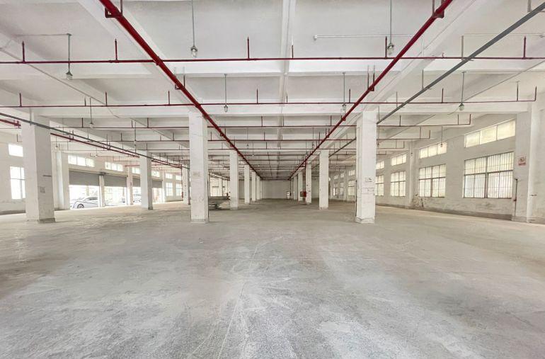 坪山坑梓独门独院单层面积3000平红本厂房实际面积出租可分租