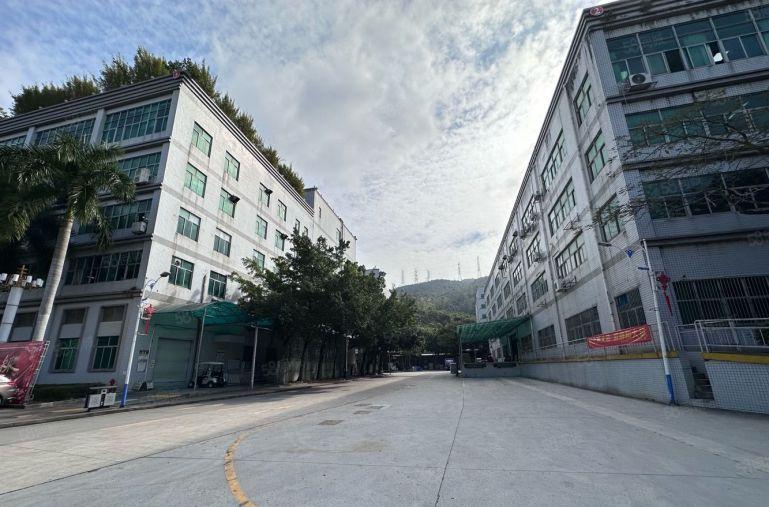 坪山坑梓20000平红本厂房出租500平起分租带装修可环评