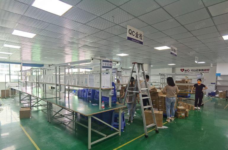 免租期6个月坑梓原房东红本厂房独门独院，带装修合同期长