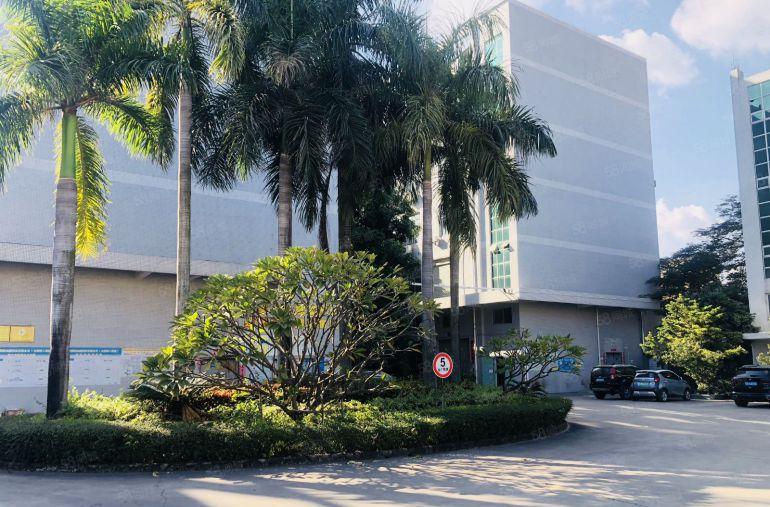 坪山坑梓地铁站大型科技园楼上1000平带装修办公仓库厂房出租