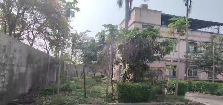 坪山村委独院3200平方价格16红本证件齐全300平起租