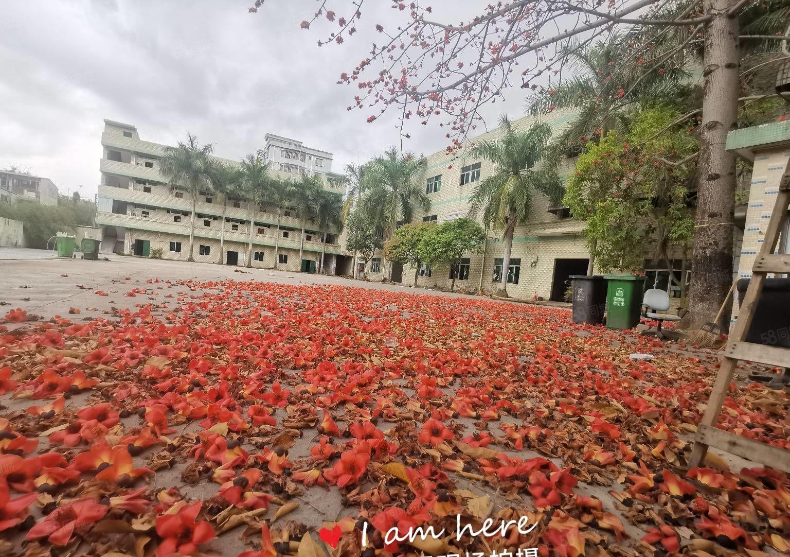 500平起分租！坪山原房东6720平红本独院厂房出租8年合同