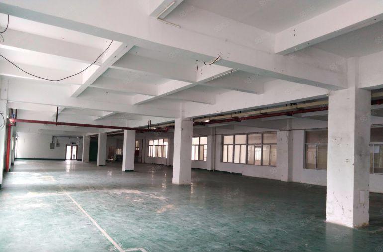 坪山碧岭沙湖标准厂房750平方米可生产研发办公电商贸易加工