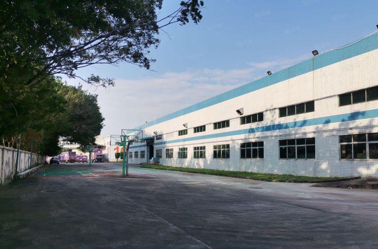 深圳市坪山区钢结构厂房出租，整栋4000平方米，高度10米