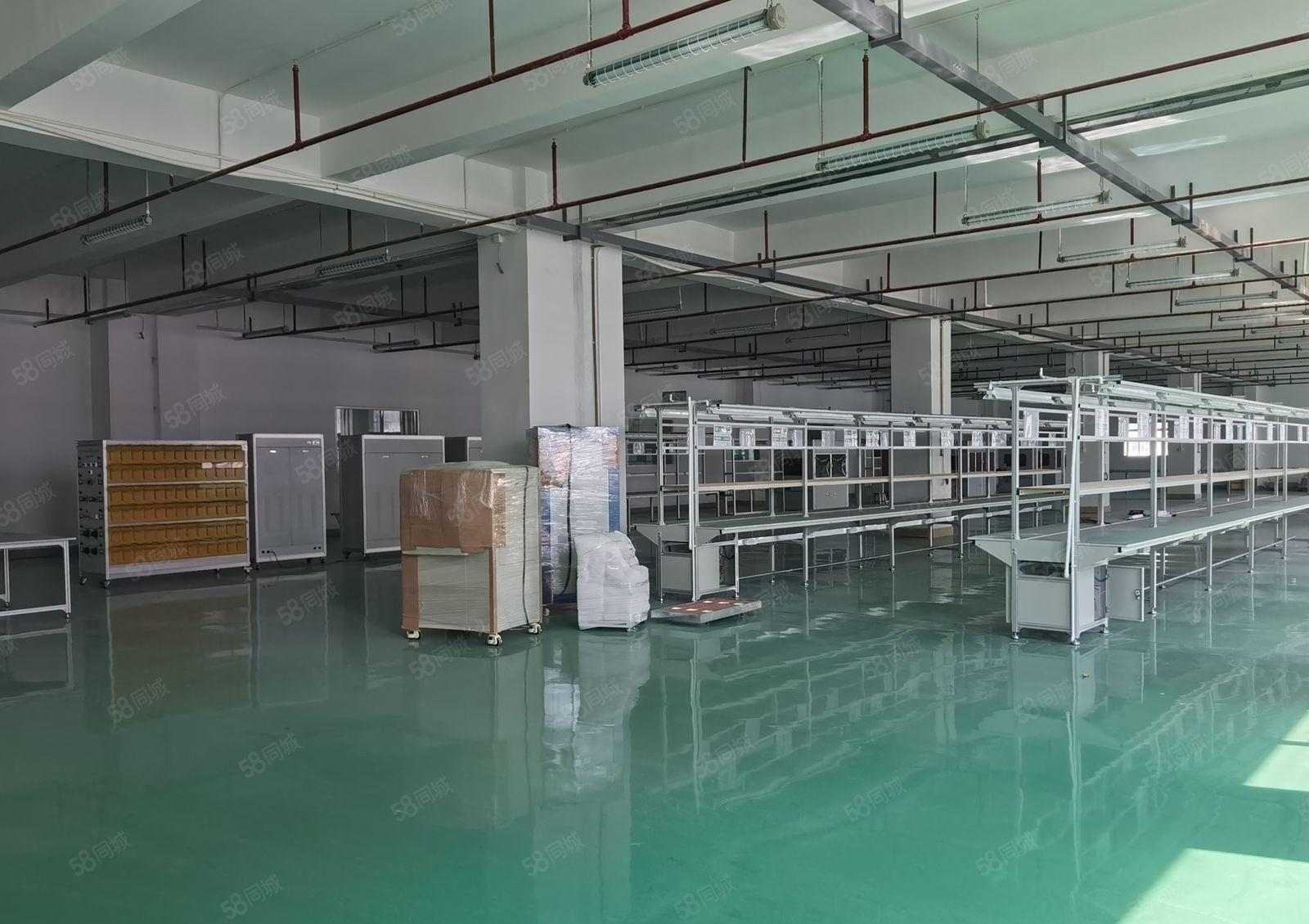 享政策补贴！坪山医疗产业园楼上2000平厂房仓库出租可分租