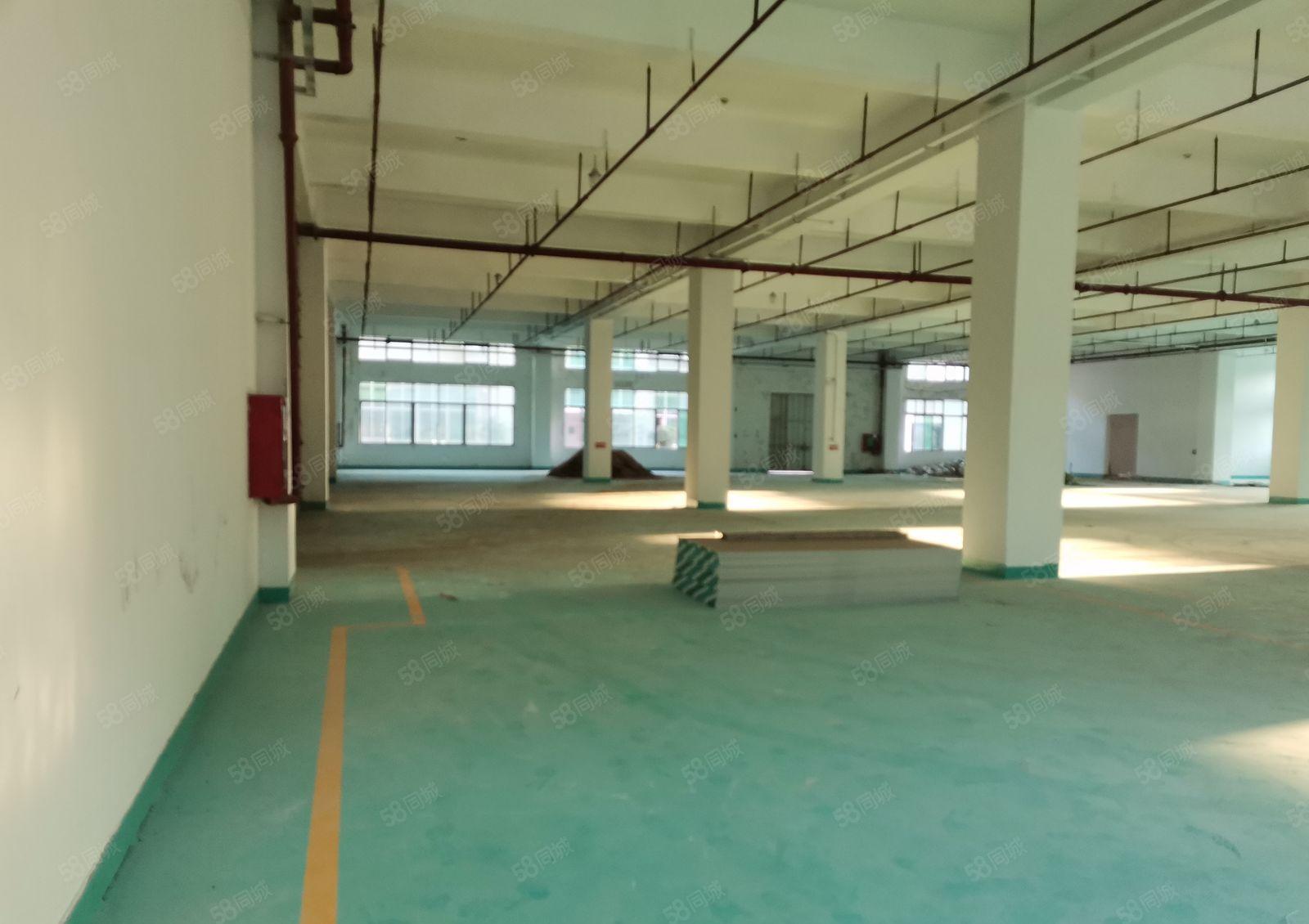 深圳坪山原房东1楼1700平方米，红本厂房出租，高度6.5米