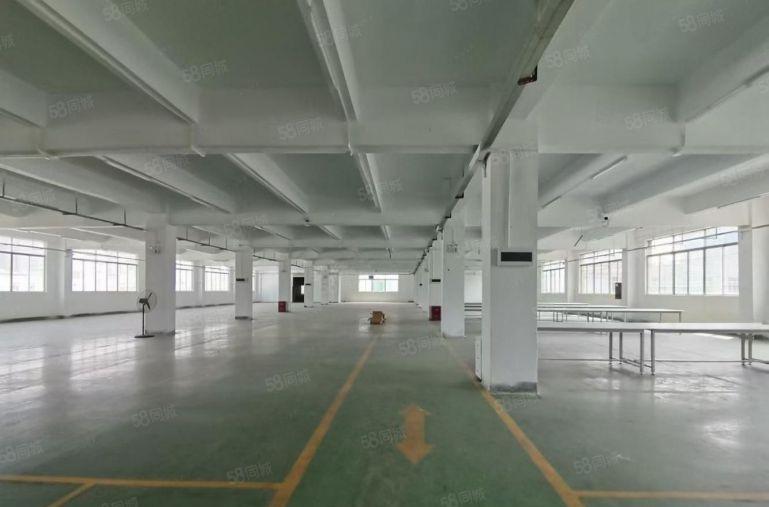 坪山坑梓新出500平至5000平 独院厂房仓库出租可分租