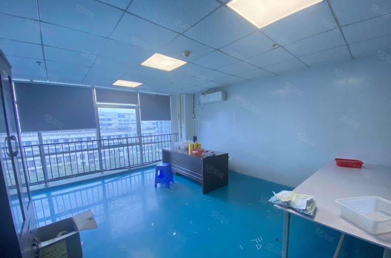 坪山高新工业园区带装修厂房独门独院仓库出租办公研发生产有补贴