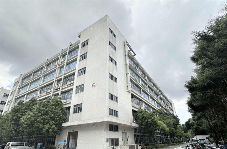 坪山坑梓红本工业园楼上2400平方带精装修办公室厂房仓库出租