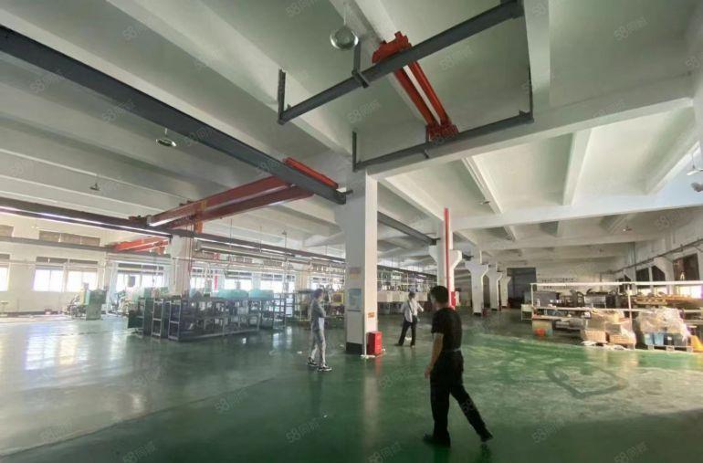 坪山中心区原房东一楼2000平方高6米实际面积厂房仓库出租