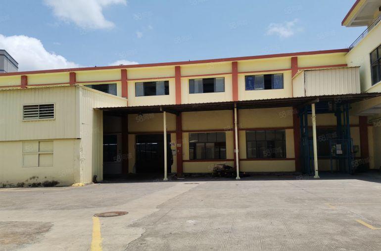 深圳市坪山区石井工业区1楼520平米，标准厂房出租，层高6米